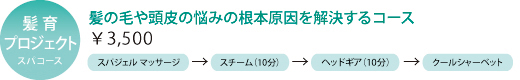 ヘッドスパ・頭皮ヒーリングコース