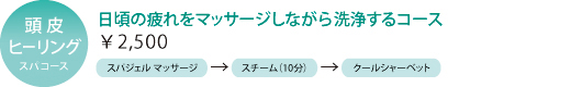 ヘッドスパ・髪育プロジェクトコース
